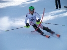 Landescup 2014 Slalom